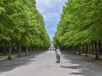 Strassenbenutzung