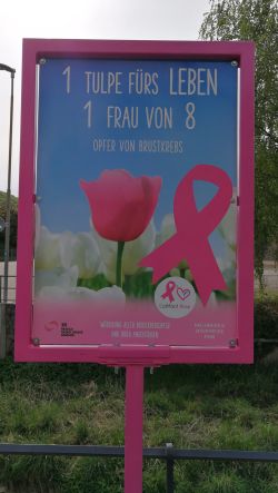 Schild 1 Tulpe fürs Leben