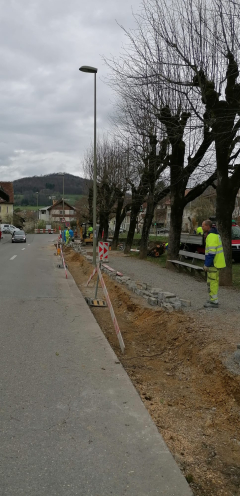 Rünenbergerallee nach Baumfällung