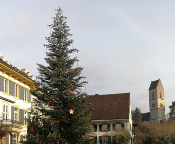 Weihnachtsbaum auf Dorfplatz