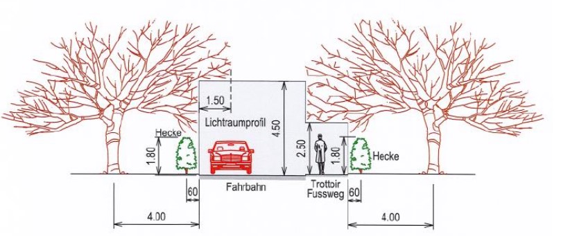Zurückschneiden von Bäumen und Sträuchern - Bild 1