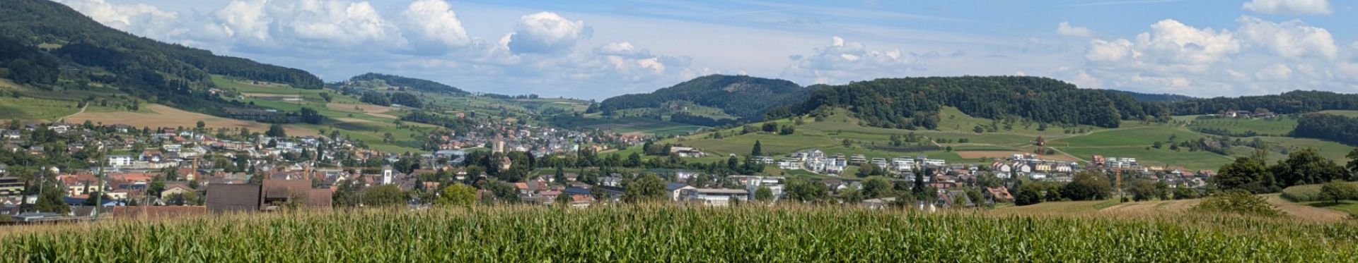 Blick von Buholden