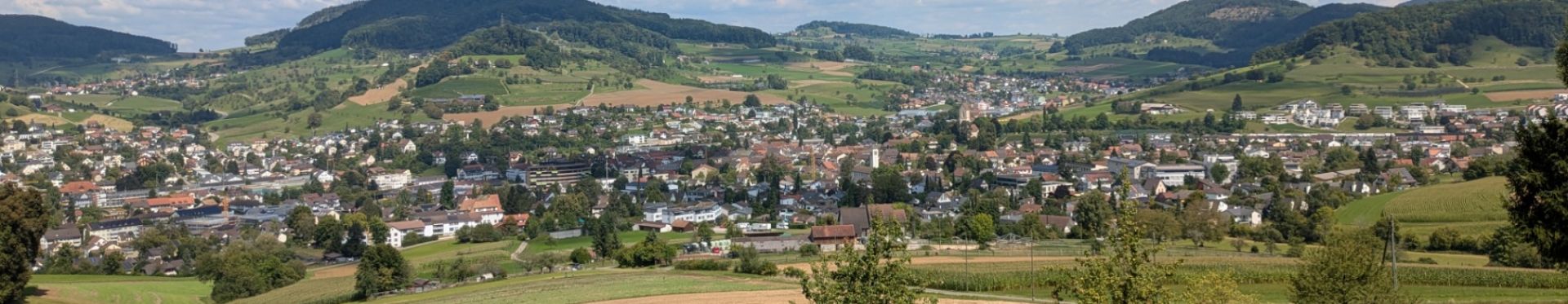 Blick von Buholden