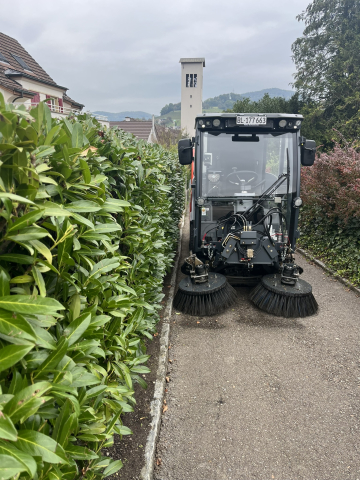 Zurückschneiden von Bäumen und Sträuchern - Bild 2