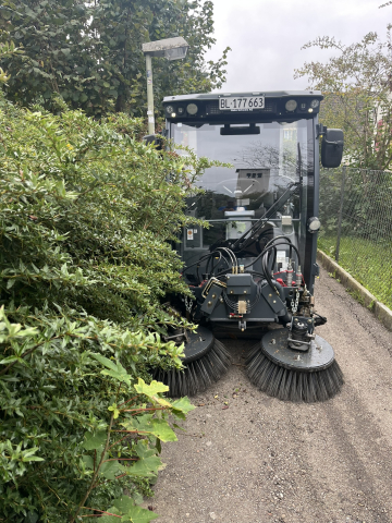 Zurückschneiden von Bäumen und Sträuchern - Bild 3